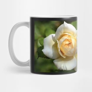 Simply the rose... Mug